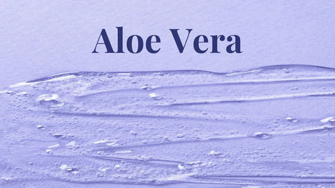 Aloe Vera as A Skin Care Ingredient