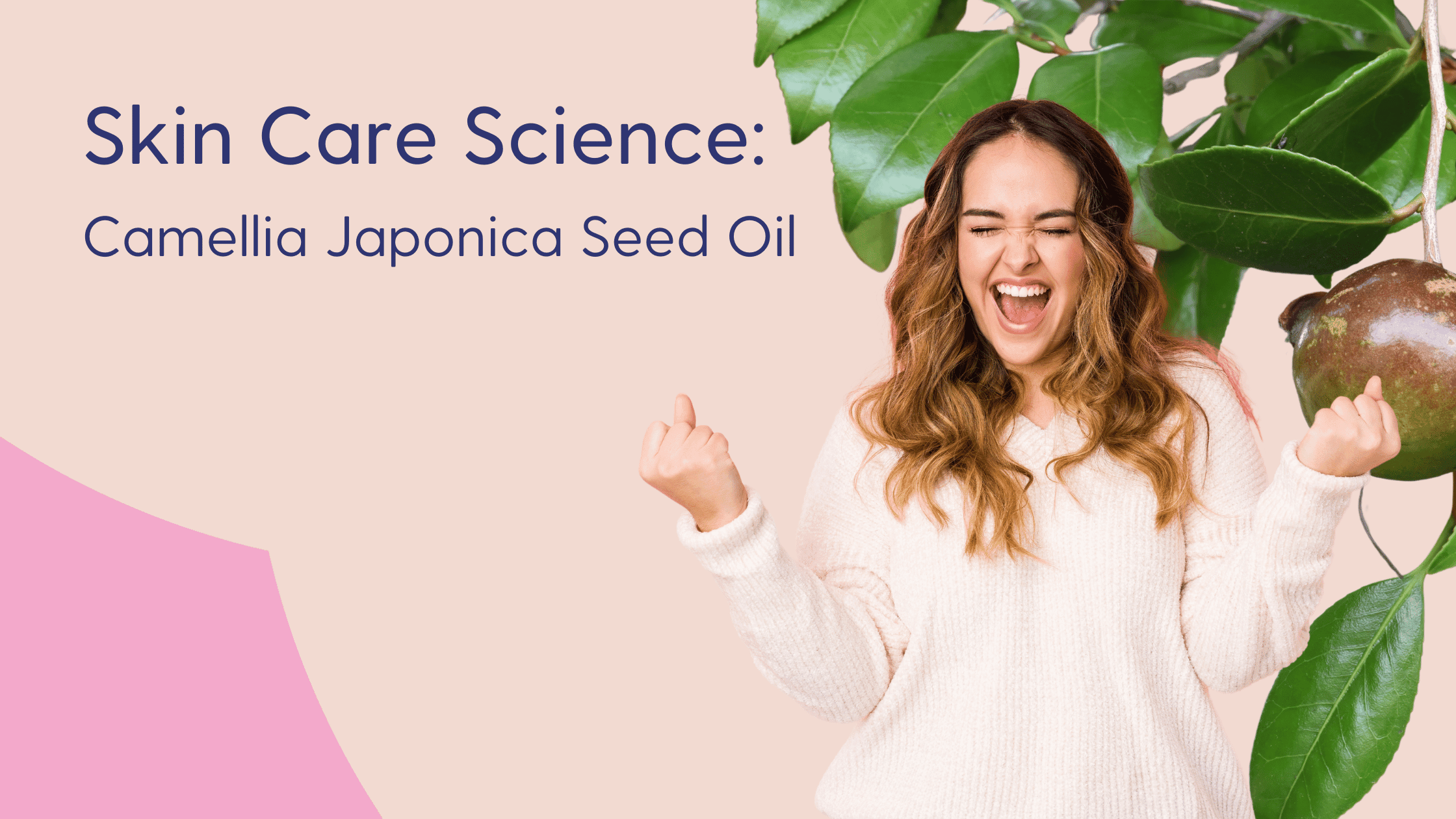 Camellia Japonica Seed Oil: Tsubaki oil,  Skin Type Solutions