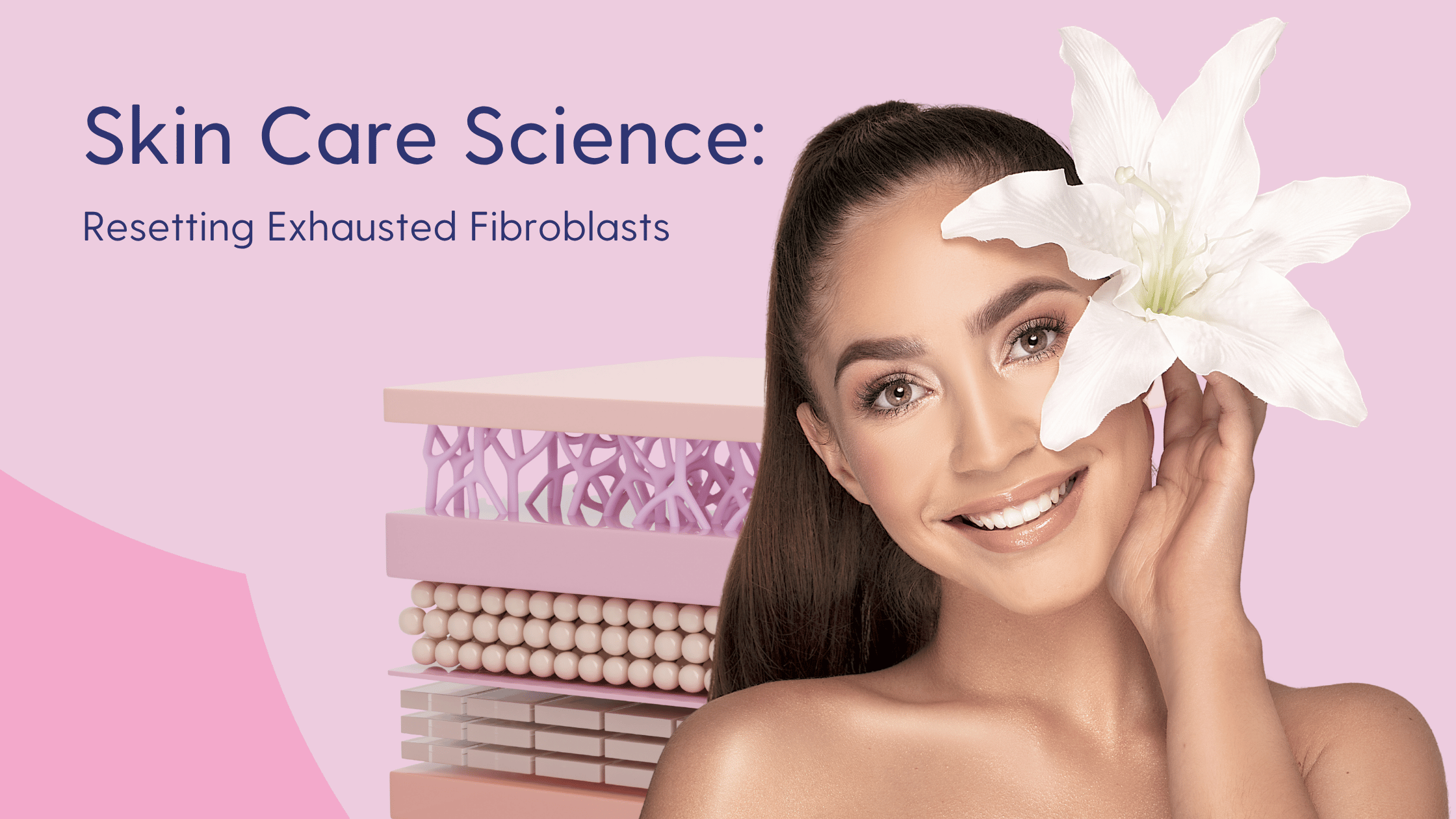 How to Reset Exhausted Fibroblasts