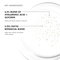 SkinCeuticals Facial Toner 1.7 oz. SkinCeuticals Phyto Corrective Essence Mist - Skin Type Solutions