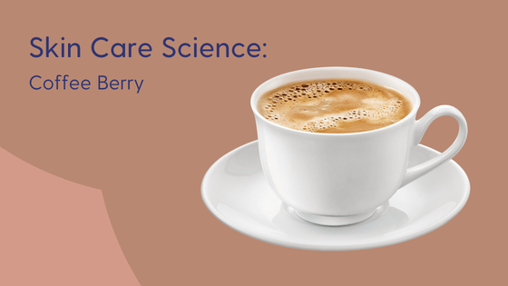 Coffee berry in skin care