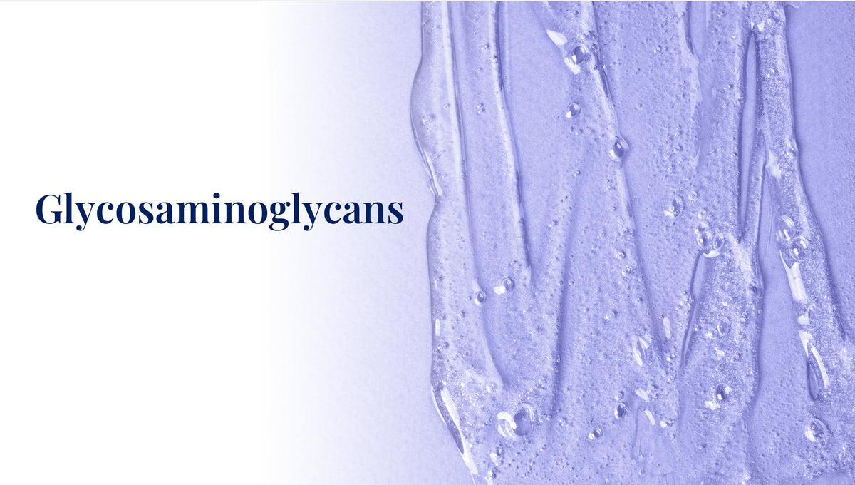 Glycosaminoglycans in Skin and Skin Care Products