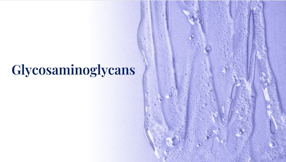 Glycosaminoglycans in Skin and Skin Care Products