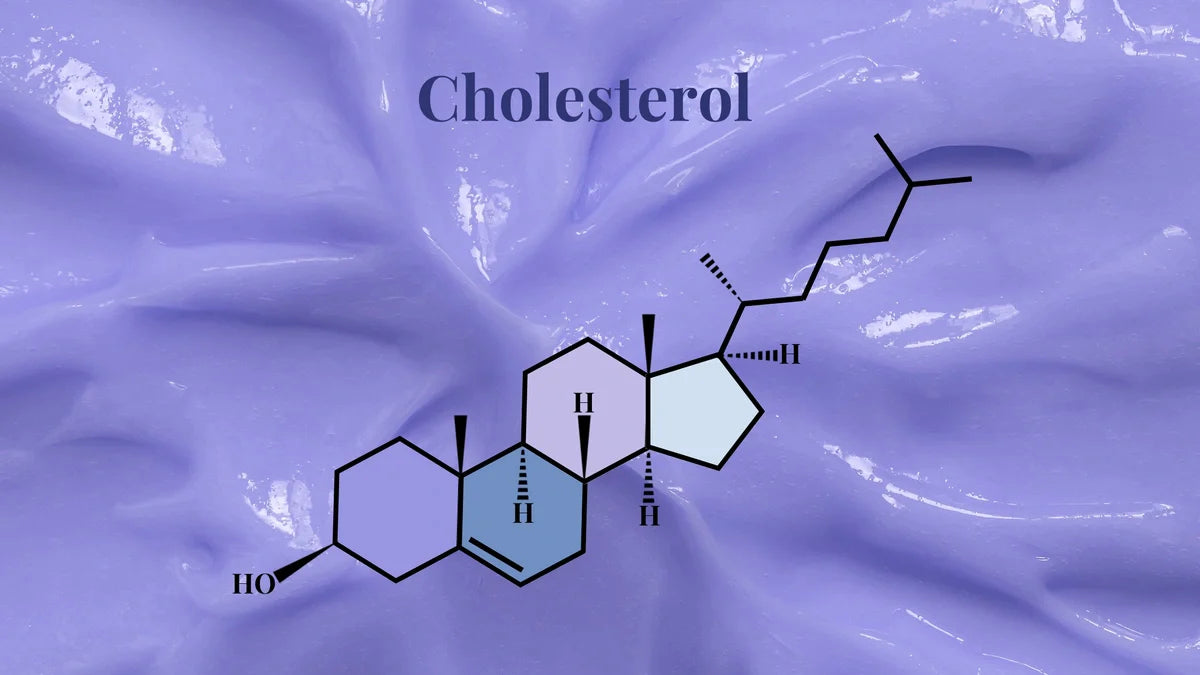 Cholesterol