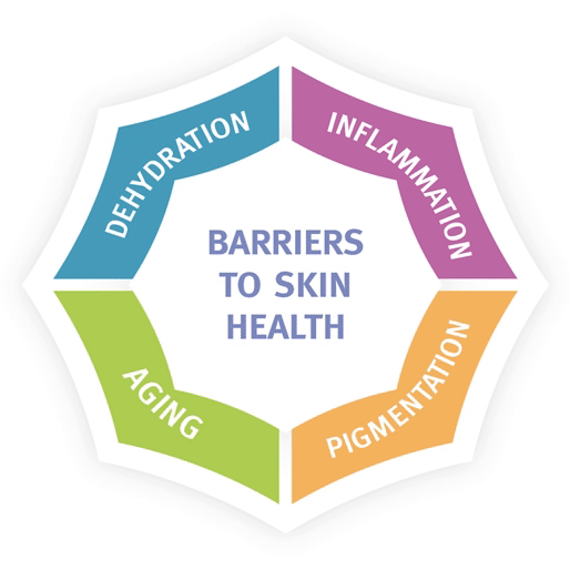 The four barriers to skin health