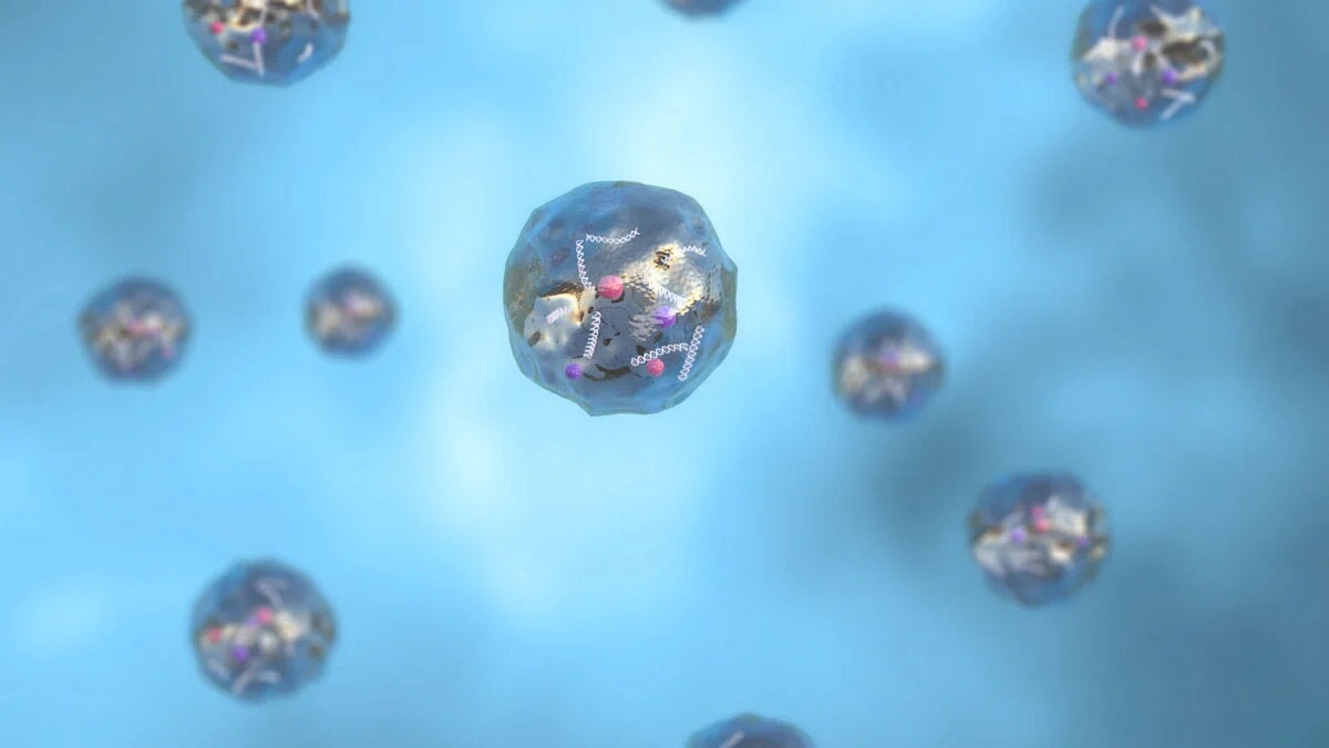 Vesicles