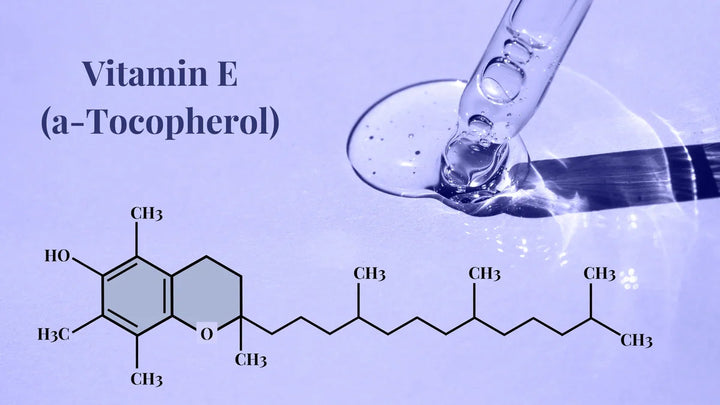 Vitamin E (alpha-tocopherol) in skin care