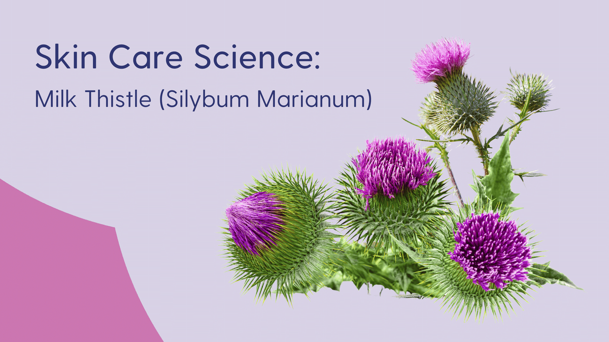 The Science of Milk Thistle Extract in Skin Care – Skin Type Solutions