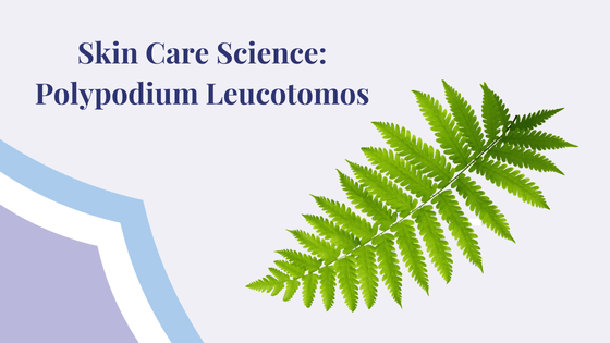 Polypodium leucotomos