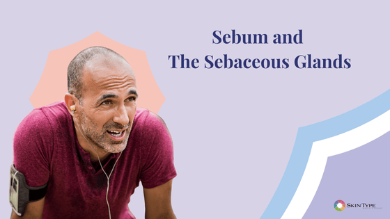 Sebum and sebaceous glands