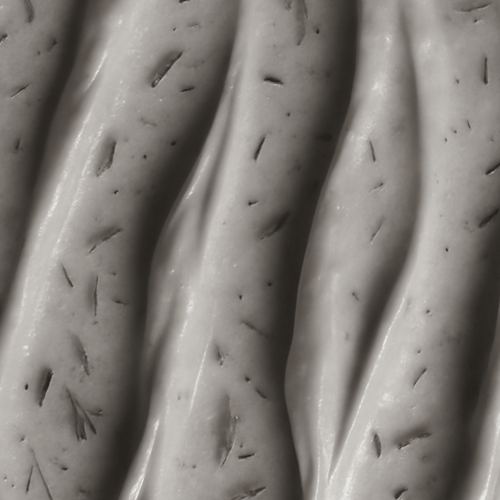 Bifida Ferment Lysate