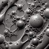 Chlorella Vulgaris/Lupinus Albus Protein Ferment