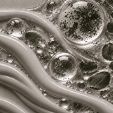 Chlorella Vulgaris Extract