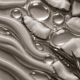 Cocos Nucifera (Coconut) Oil