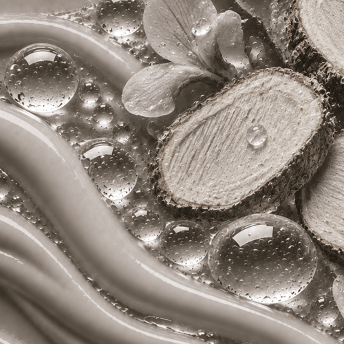 Pueraria Thunbergiana Root Extract