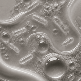 Lacobacillus Ferment