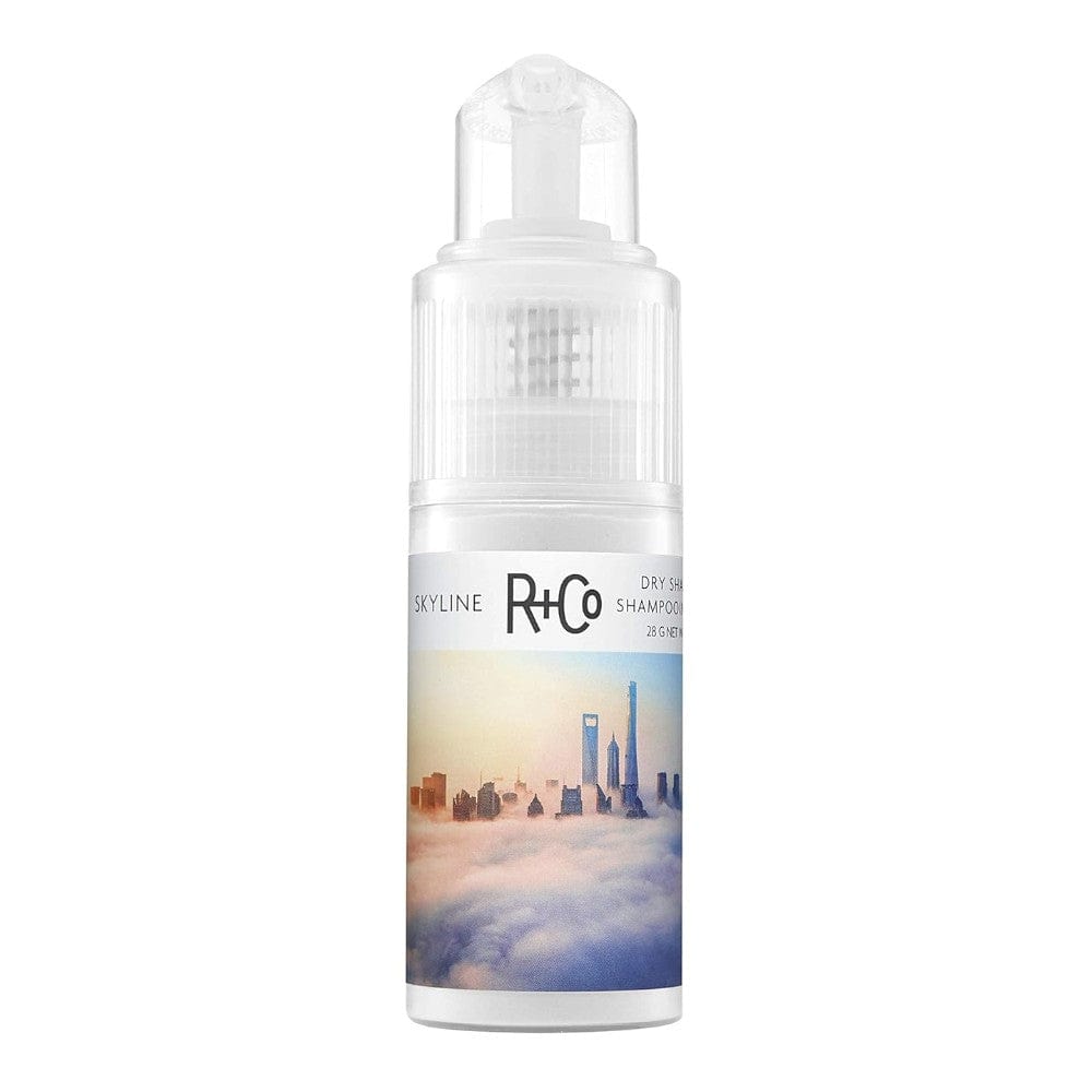R+Co Shampoo R+Co Skyline Dry Shampoo Powder - Skin Type Solutions