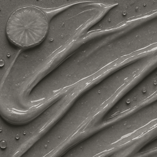 Leuconostoc/Radish Root Ferment Filtrate