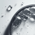 Salicylic Acid