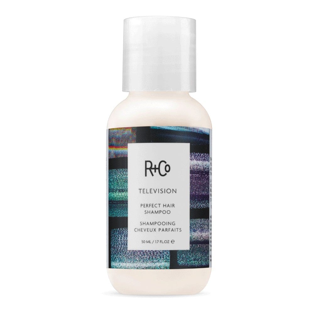 R+Co Shampoo 1.7 oz R+Co Television Perfect Hair Shampoo - Skin Type Solutions