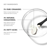 SkinCeuticals Facial Moisturizer 1.6 fl. oz. SkinCeuticals Triple Lipid Restore 2:4:2 - Skin Type Solutions