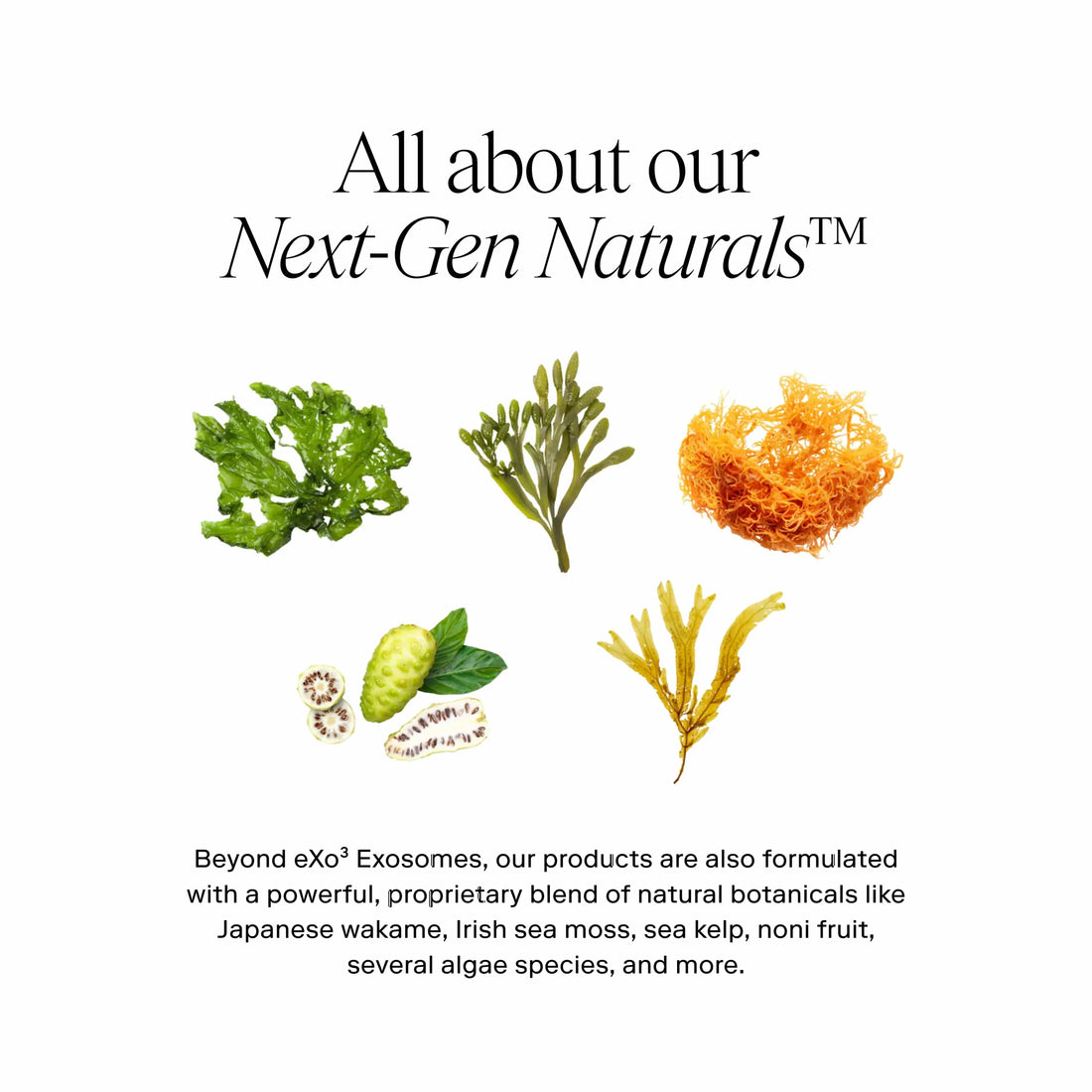 Exoceuticals Lotions & Moisturizers Exoceuticals Exo Plus Anti-Aging Cream - Skin Type Solutions