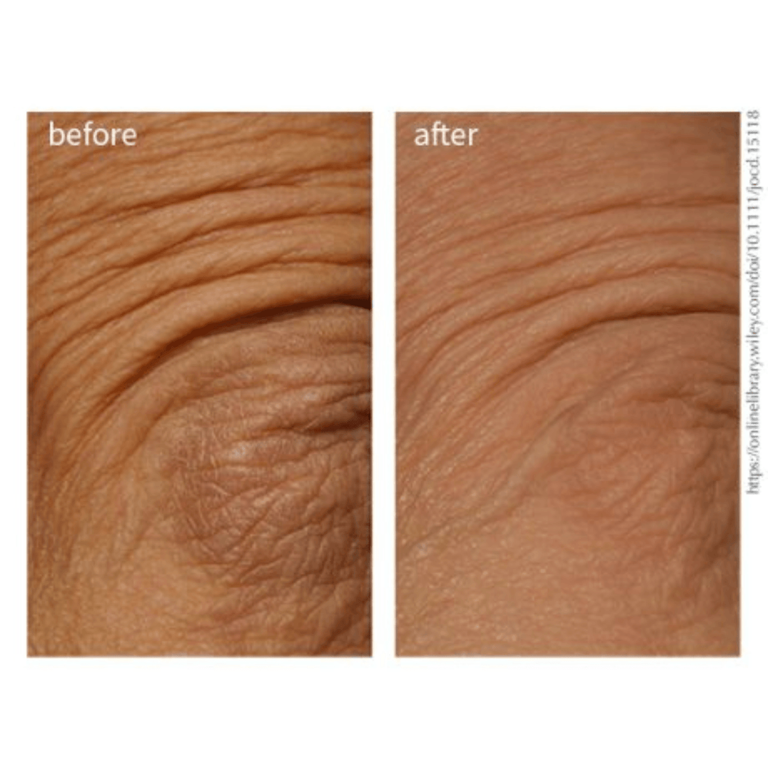 DefenAge Body Moisturizer 4 fl. oz. DefenAge 10 Luxe Hand & Body Cream - Skin Type Solutions