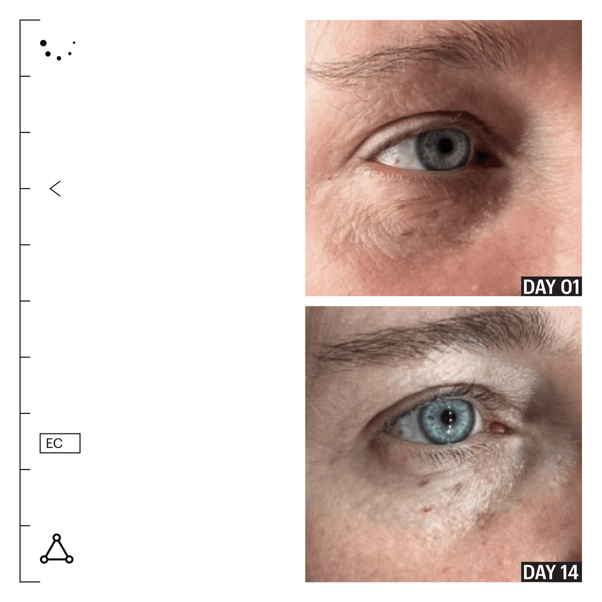 Allies Of Skin Eye Creams Allies of Skin Peptides and Omegas Firming Eye Cream - Skin Type Solutions