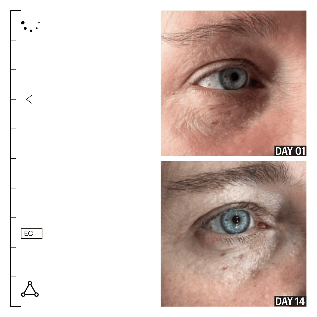 Allies Of Skin Eye Creams Allies of Skin Peptides and Omegas Firming Eye Cream - Skin Type Solutions