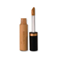 Osmosis Beauty Flawless Concealer Osmosis Beauty Honey Shop at Skin Type Solutions