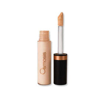 Osmosis Beauty Flawless Concealer Osmosis Beauty Porcelain Shop at Skin Type Solutions